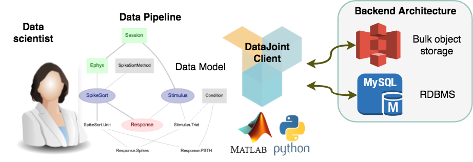 DataJoint operation