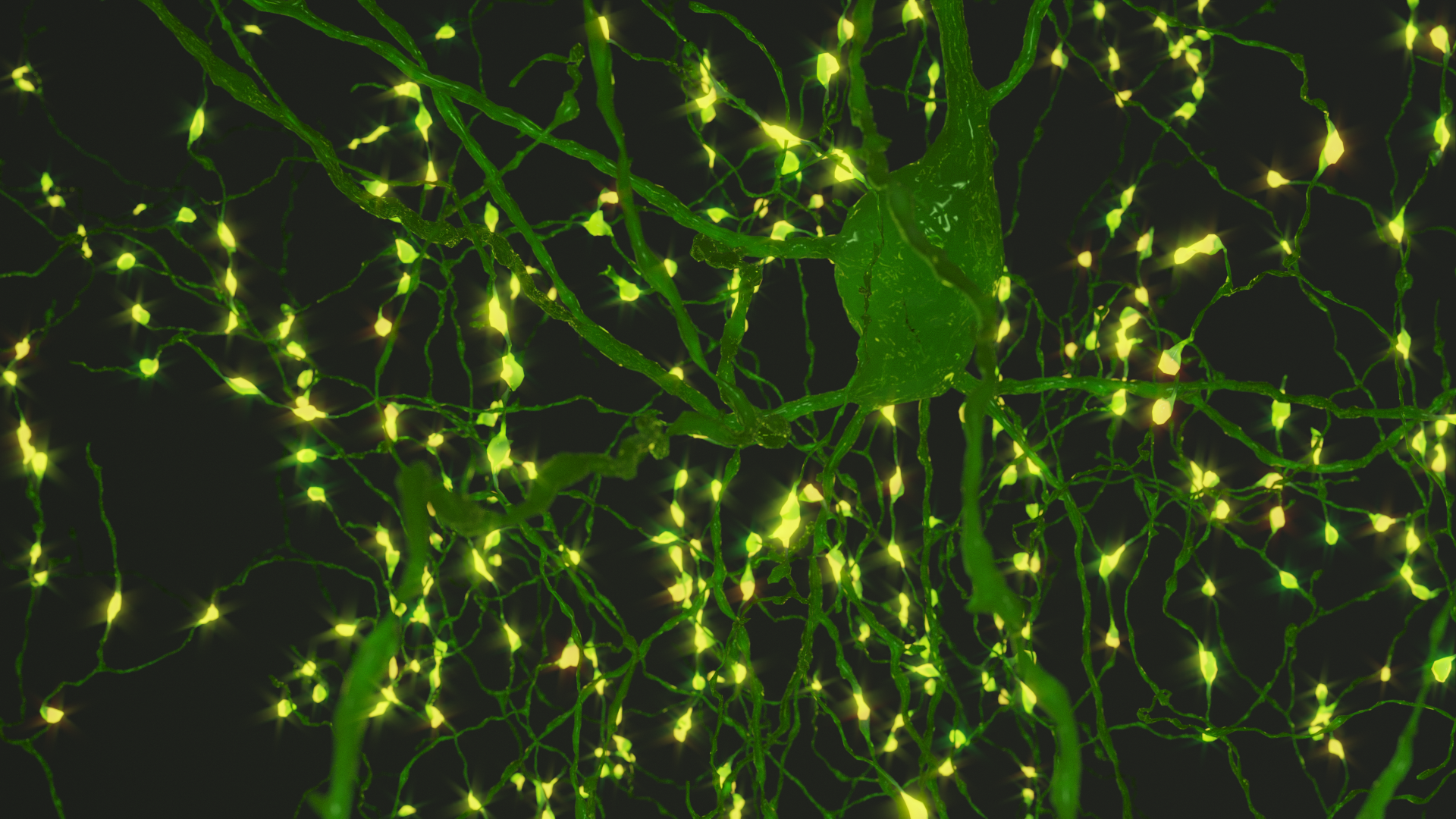A Better Data Engine for Brain Science
