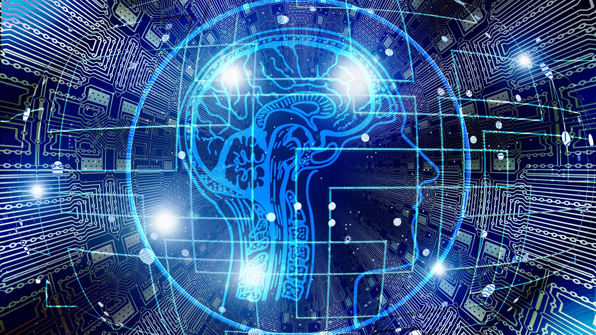 DataJoint to NIH: Trustworthy AI Requires Trustworthy Data Operations
